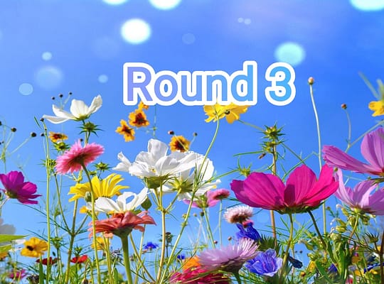 round-3-open-primavera-2022